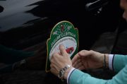 Le Jaguar nella zona del Prosecco e Cartize (76/152)